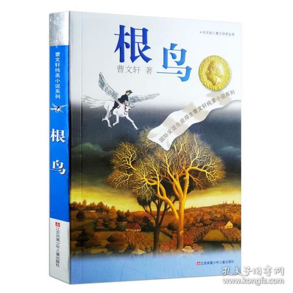 全球功率最高溶液型医用同位素堆开工建设